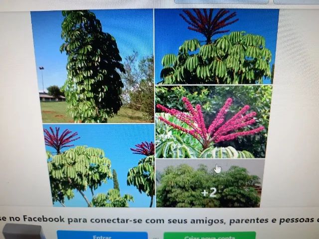 Vende se  um sítio em Porangaba sp - Foto 2