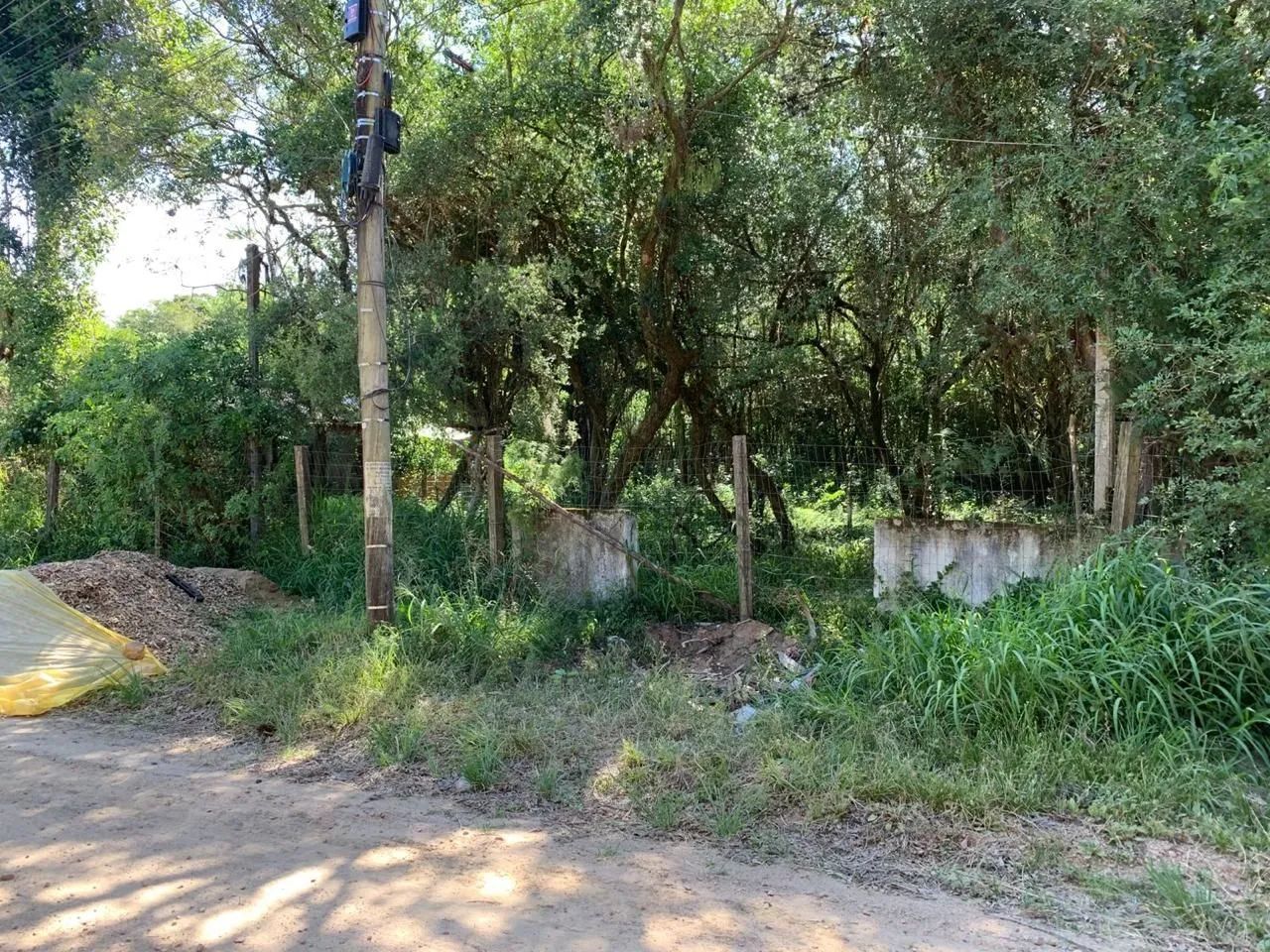Foto - Porto Alegre - Lami