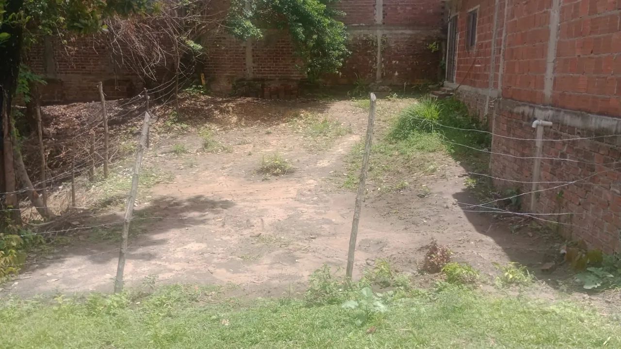 Foto - Paulista - Tabajara