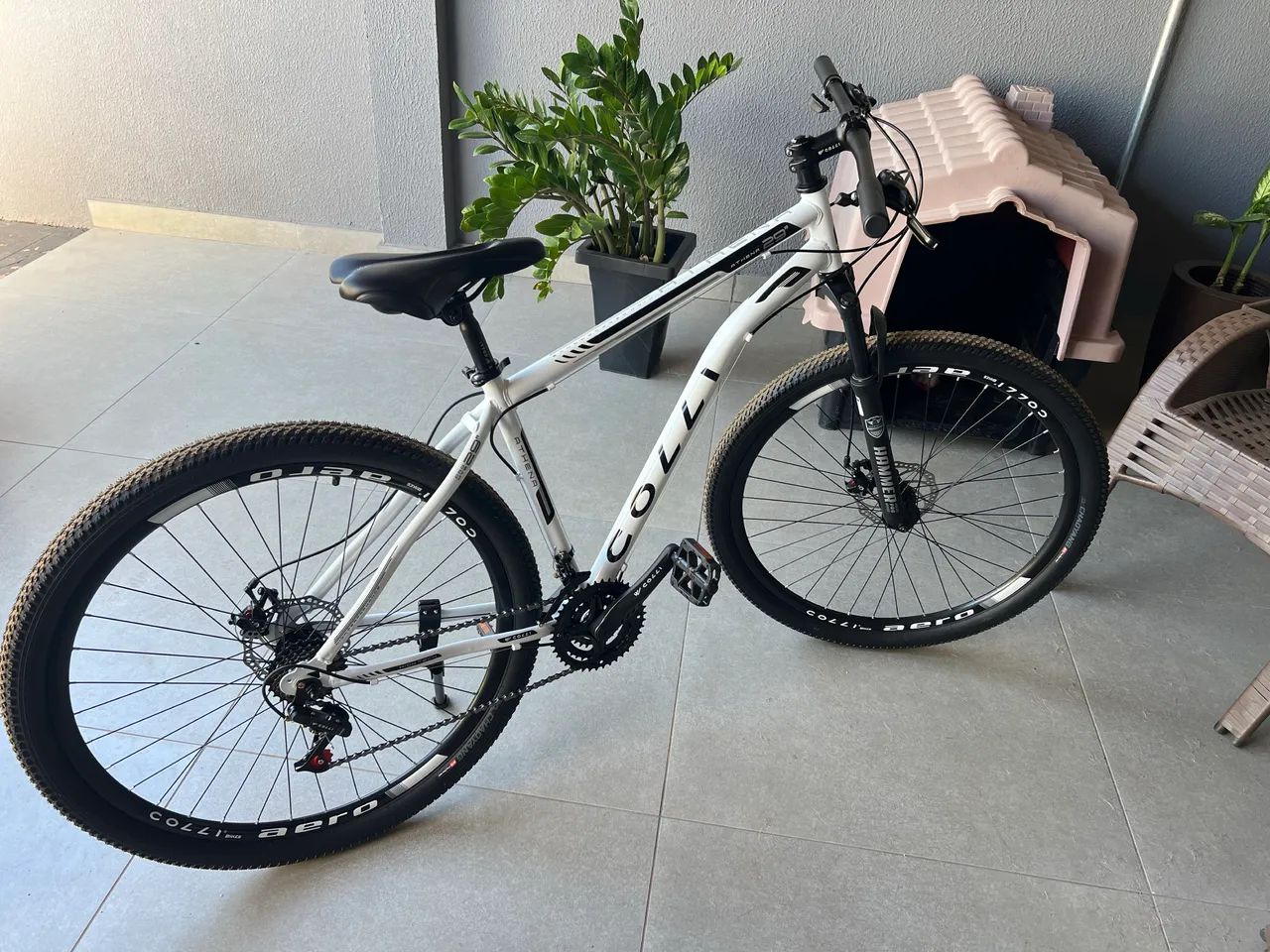Bicicleta 