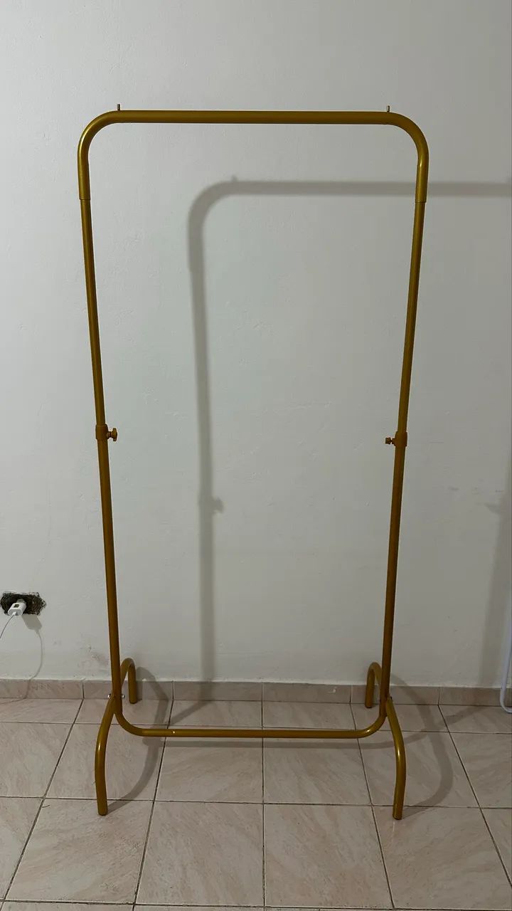 Arara dourada - Foto 3