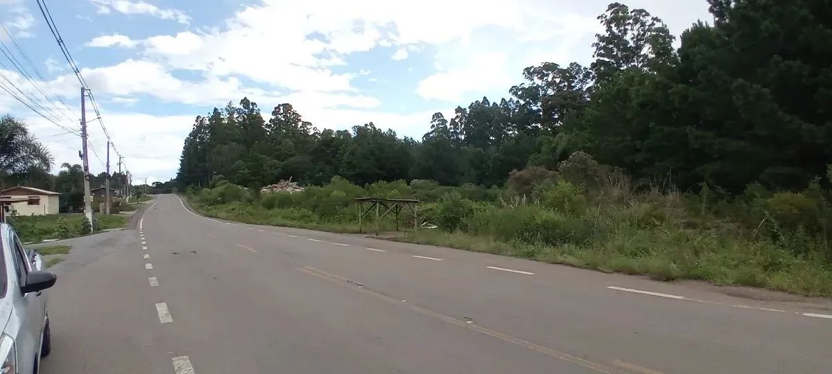 CAXIAS DO SUL - Terreno Padrão - FORQUETA - Foto 2