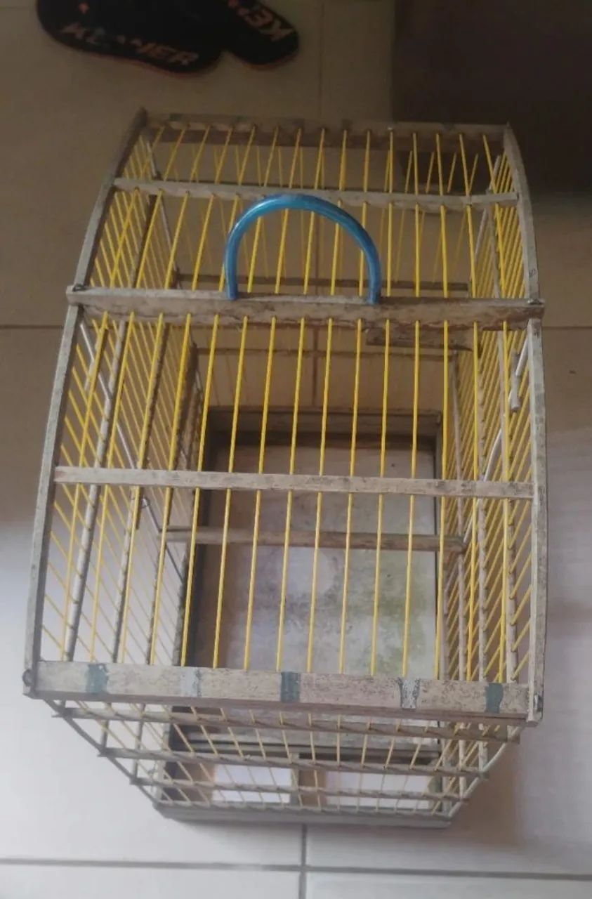 Gaiola 