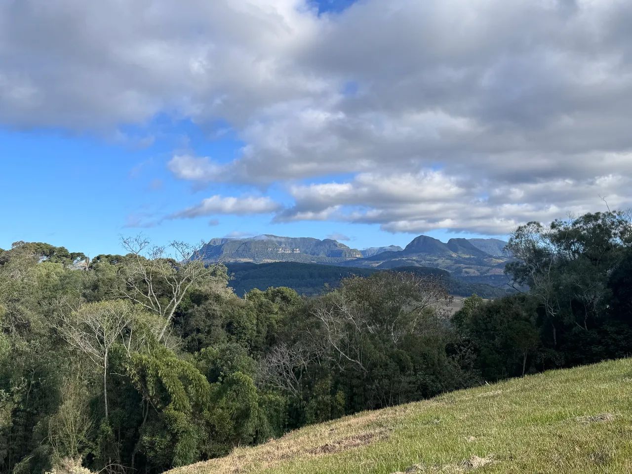 Sítio 2 Hectares em Alfredo Wagner SC - Foto 4