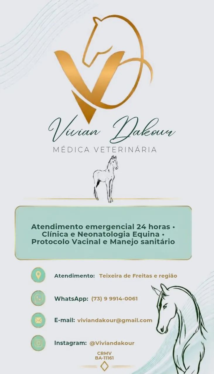 Atendimento Veterinário Volante