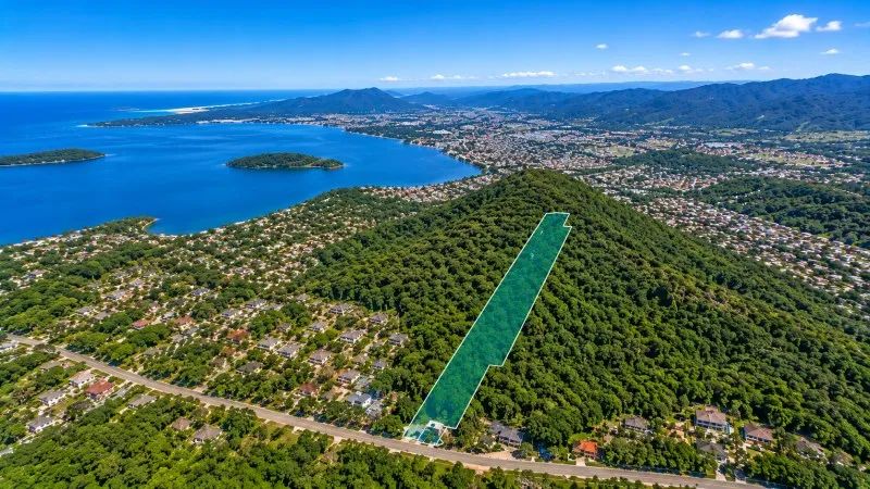 Terreno - Florianópolis SC - Foto 4