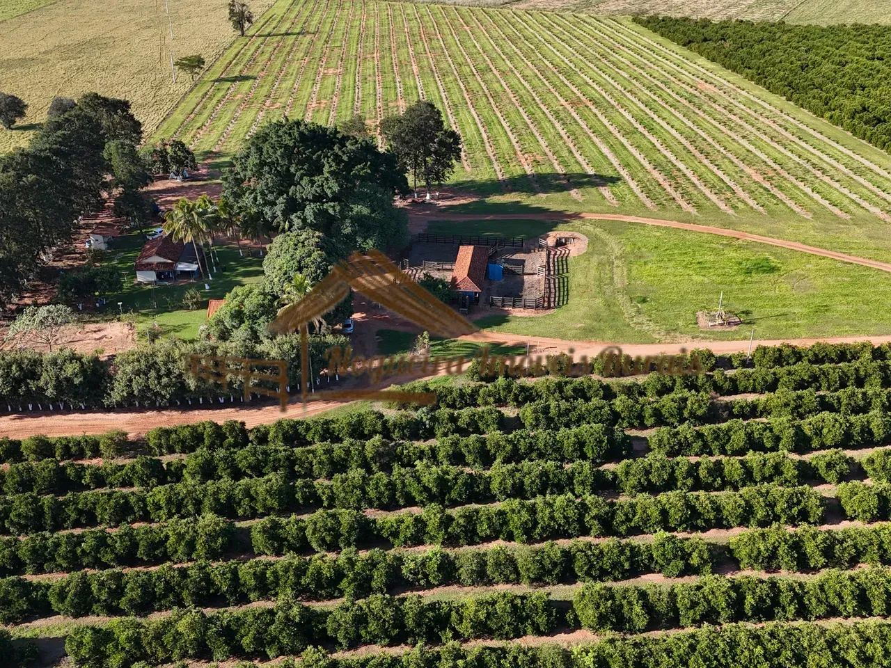 Fazenda com 75 alqueires na região de Garça-SP