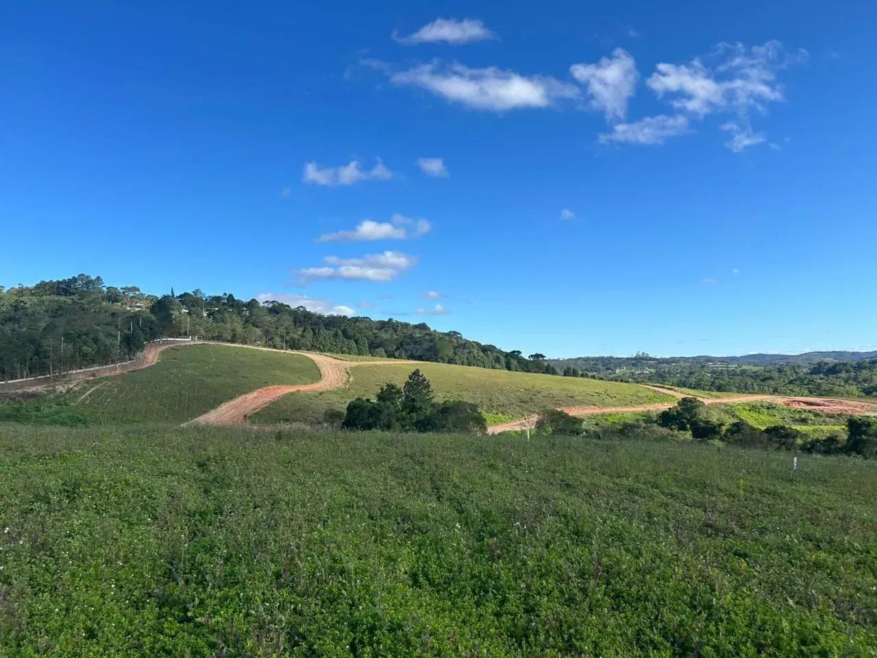 Imóvel para venda com 500 metros quadrados em Centro - Cotia - SP - Foto 5