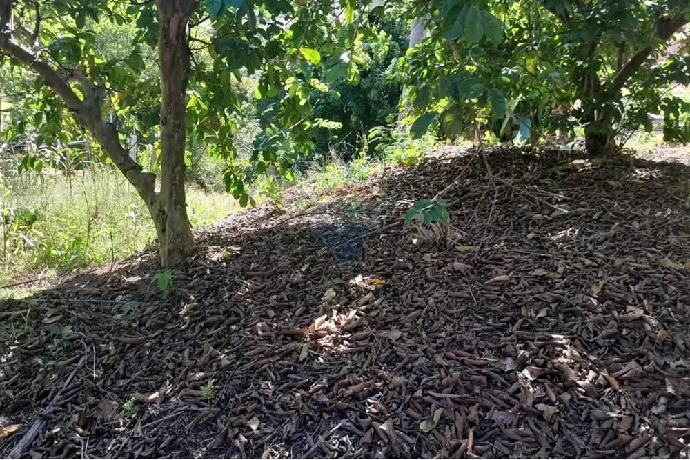 CHÁCARA A VENDA! VEJA CONDIÇÕES. - Foto 2