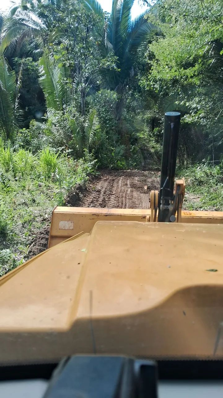 Limpeza de terreno  - Foto 4