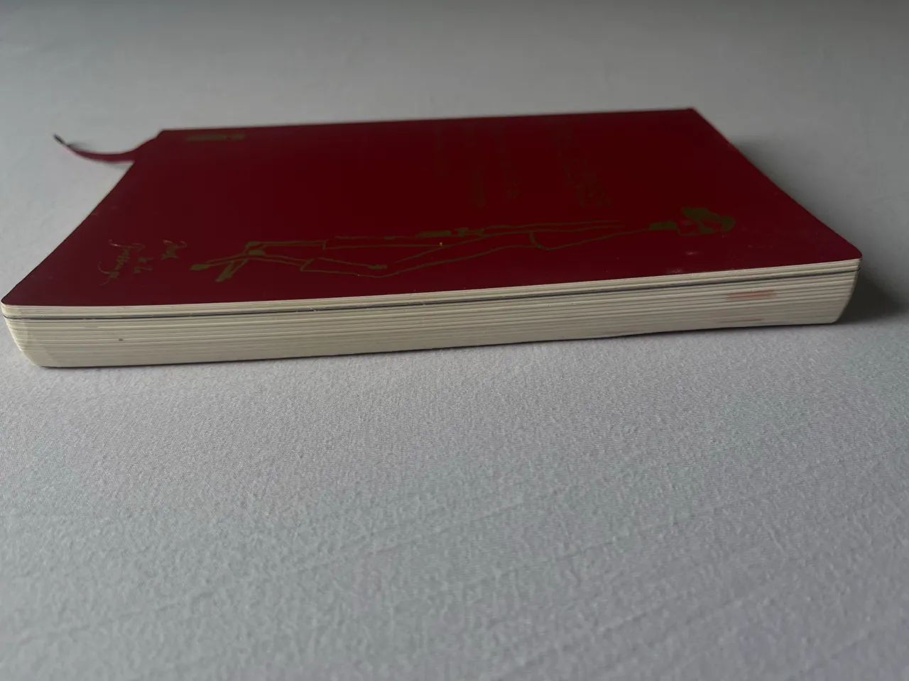 A PARISIENSE (livro) - Foto 3