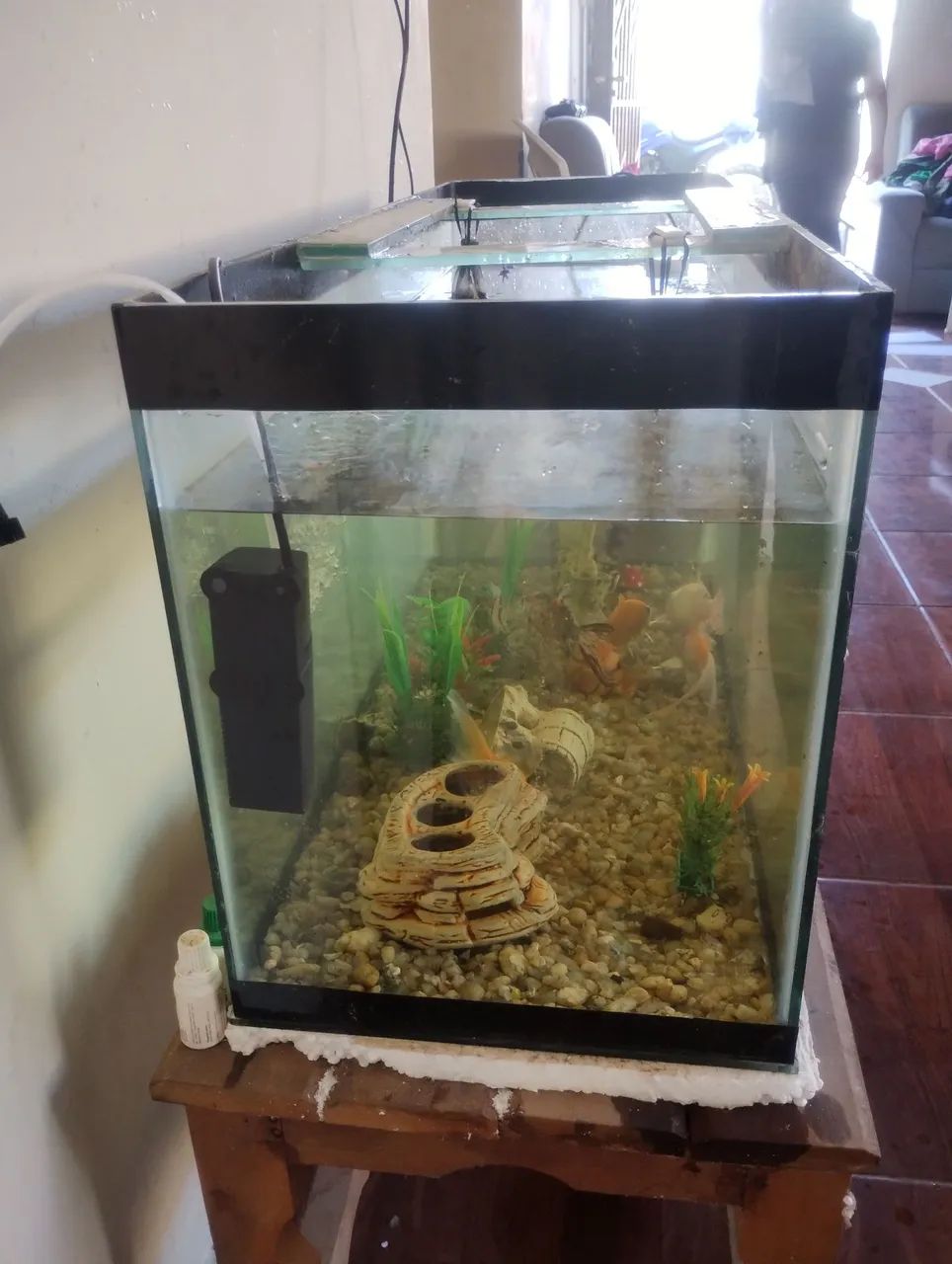 Aquário completo de 100 litros - Foto 4