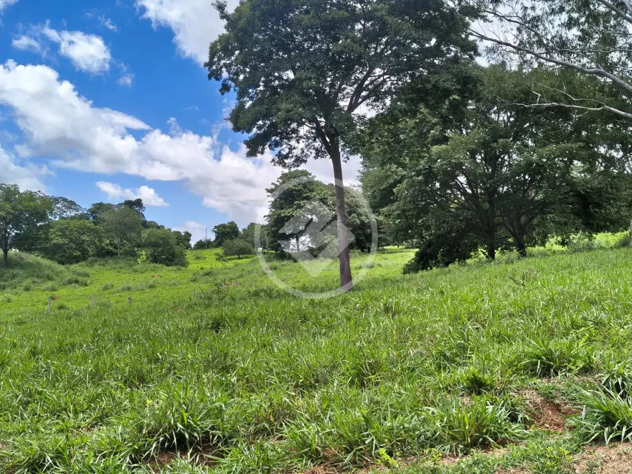CHÁCARA PROXIMO AO GOIAS VELHO codigo: 280124 - Foto 5