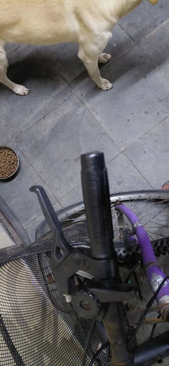 Bicicleta - Foto 5