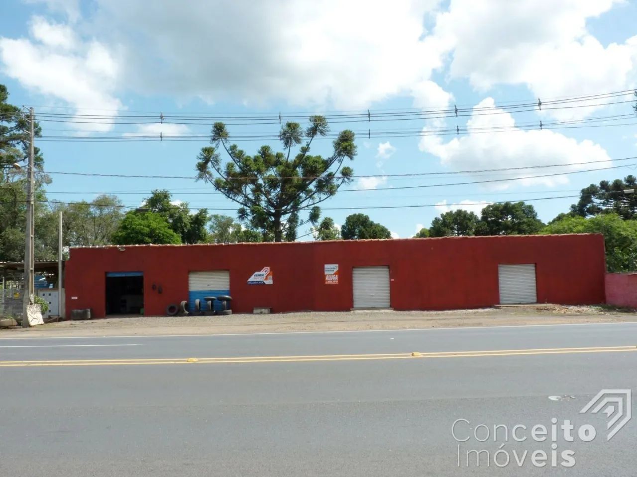 Imóvel Comercial - Bairro Piriquitos - Rodovia BR 376 - Foto 2