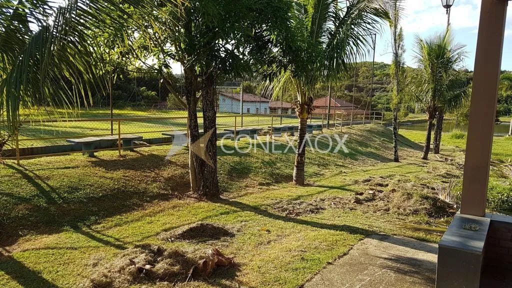 chácara - Sousas - Campinas - Foto 3