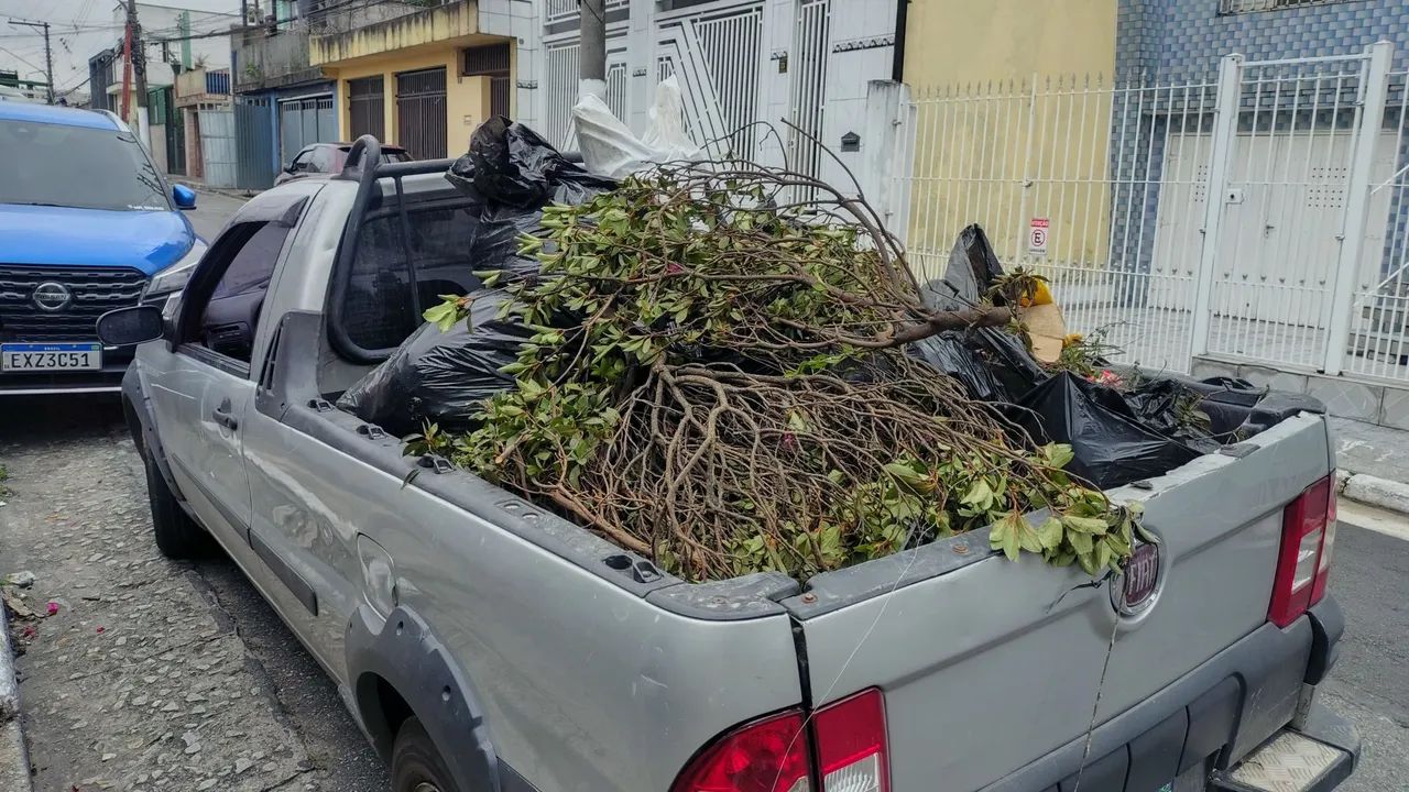 Remoção de entulhos, móveis e podas  - Foto 5