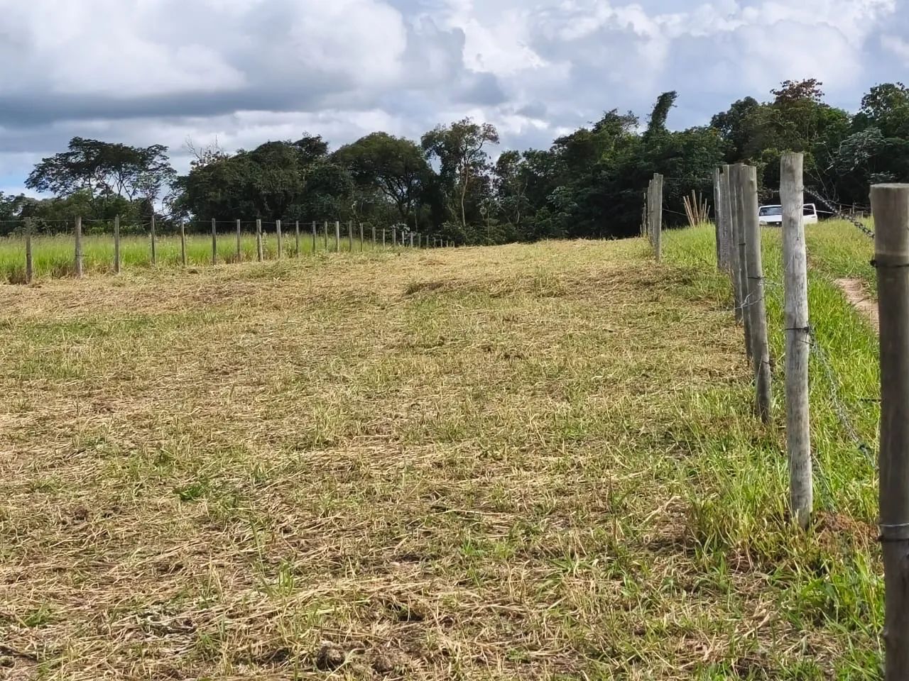 Rancho / Chácara - Foto 4