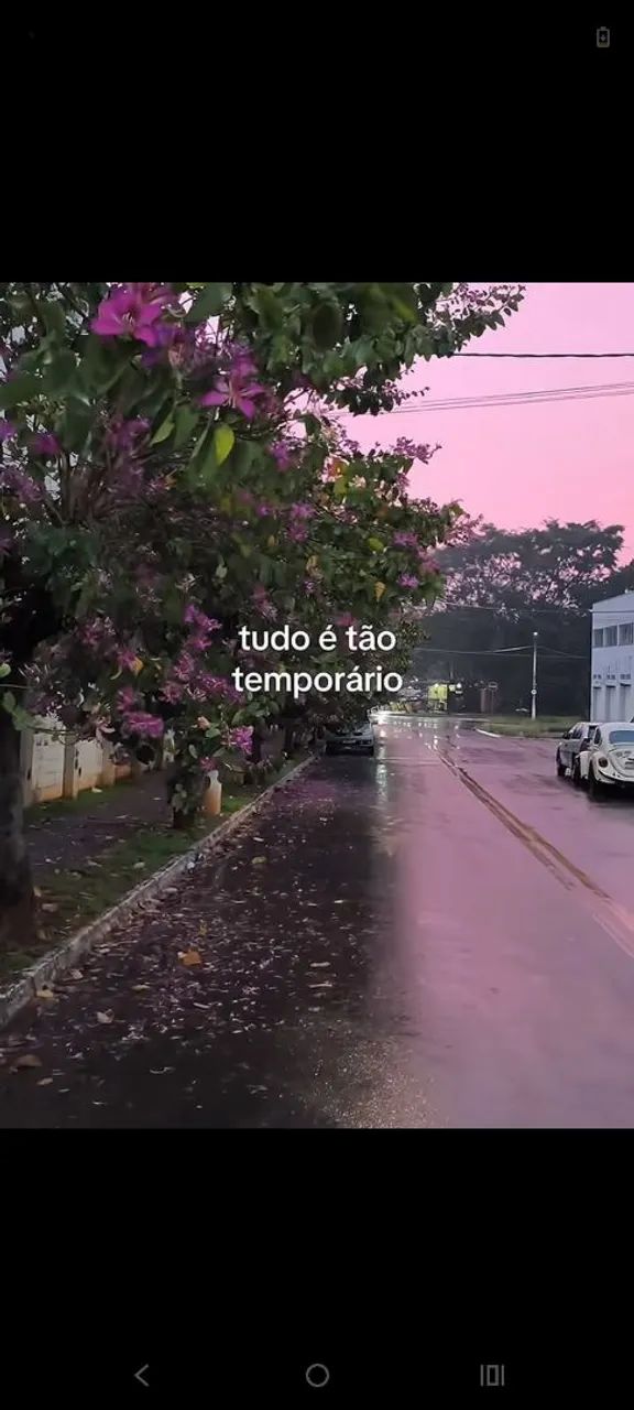 Vende-se sofá de dois e três lugares.
