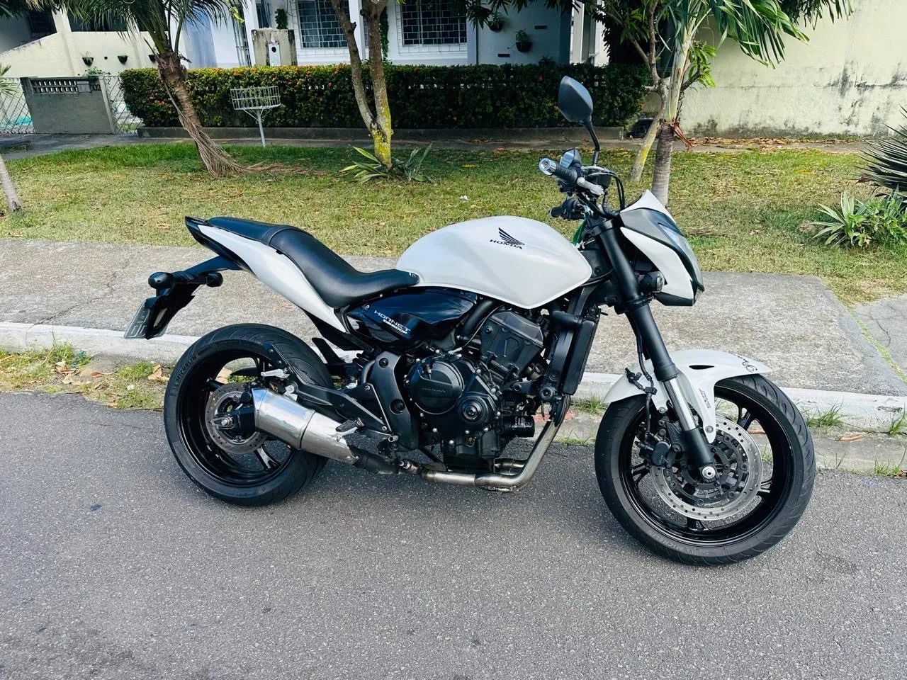 Hornet 600f 