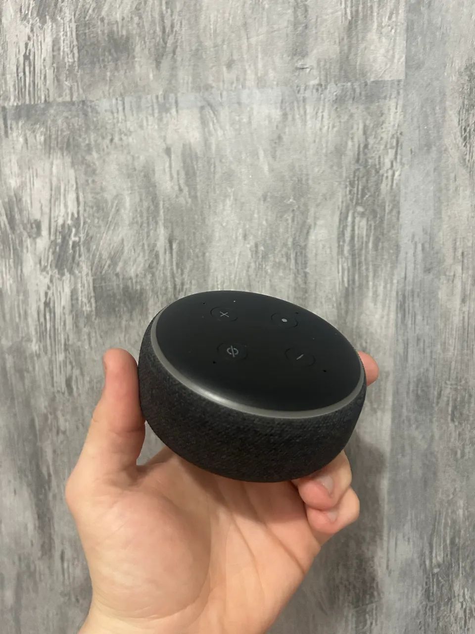 Alexa  - Foto 5