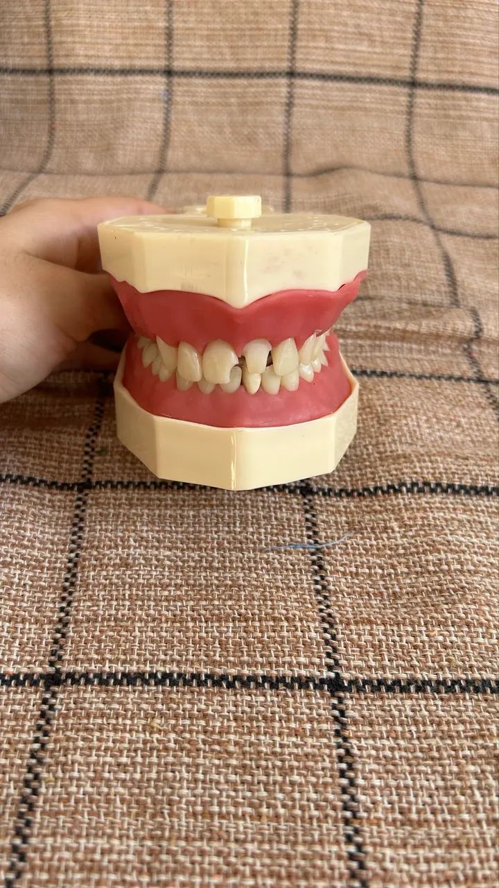 MANEQUIM ODONTOLÓGICO 