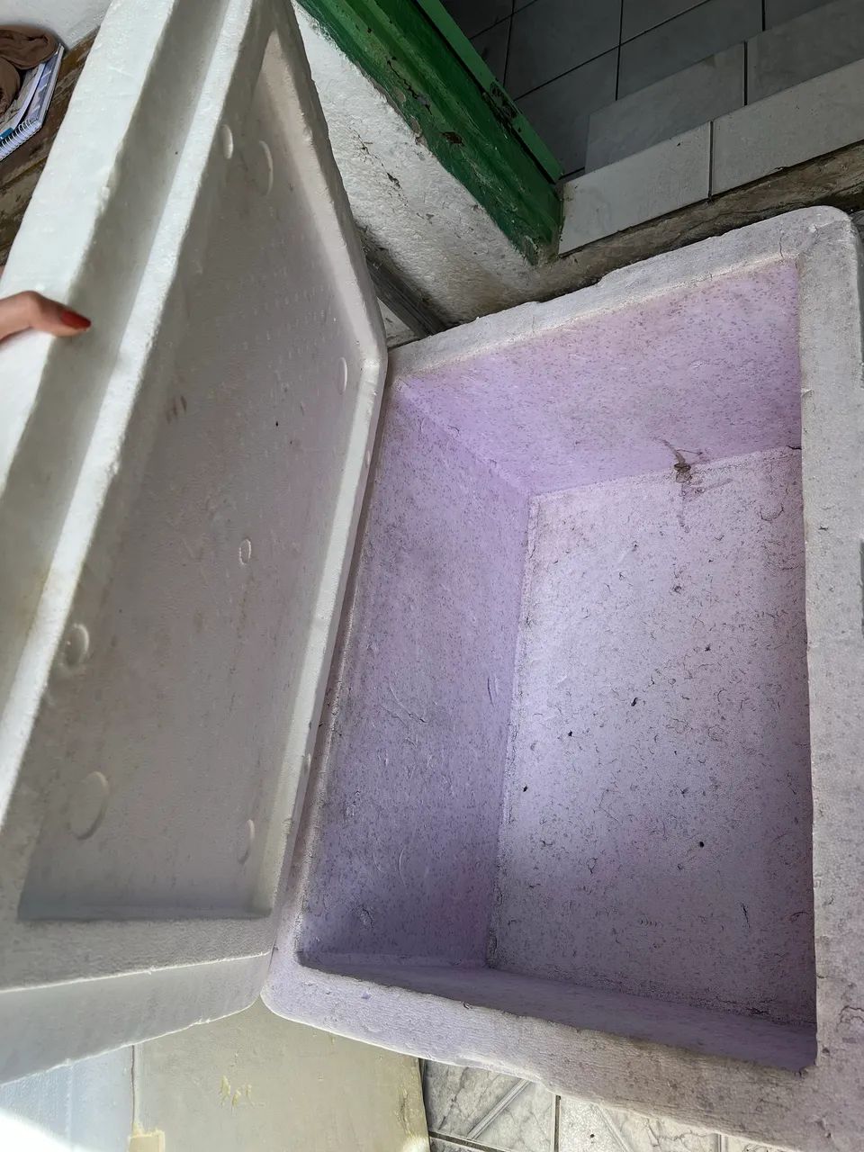 Caixa de isopor de 120 litros