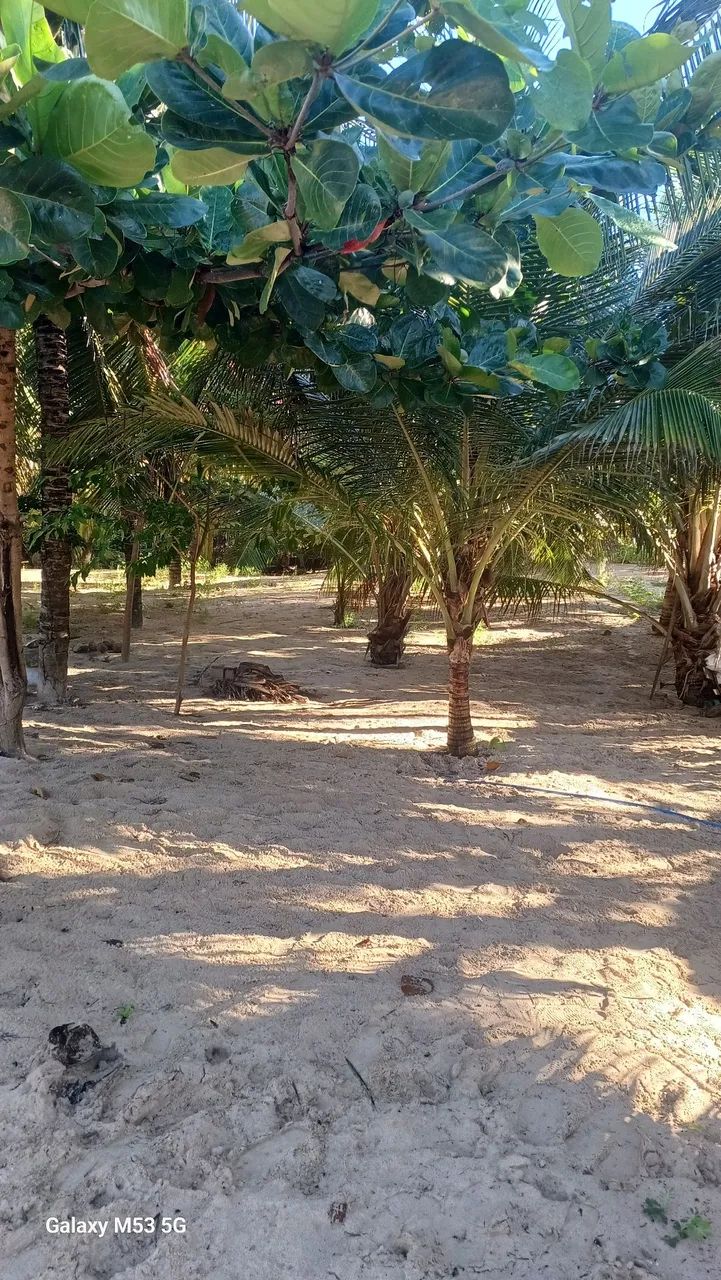 Vendo um terreno na praia  - Foto 2