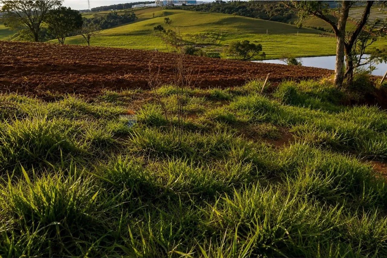 TERRENO EM JACUTINGA MG - Foto 3