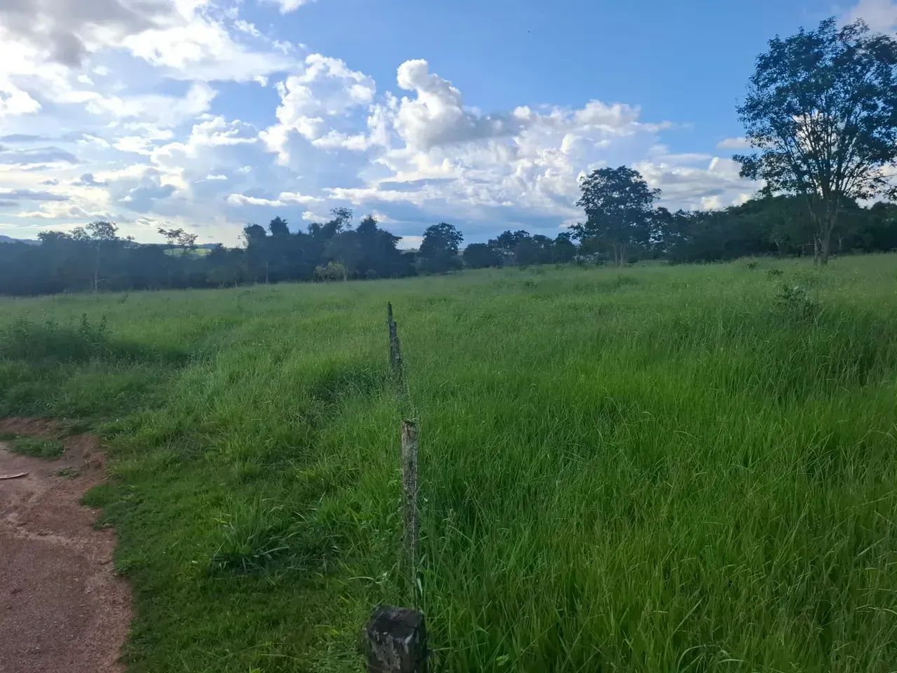 Fazenda - Jaraguá - GO