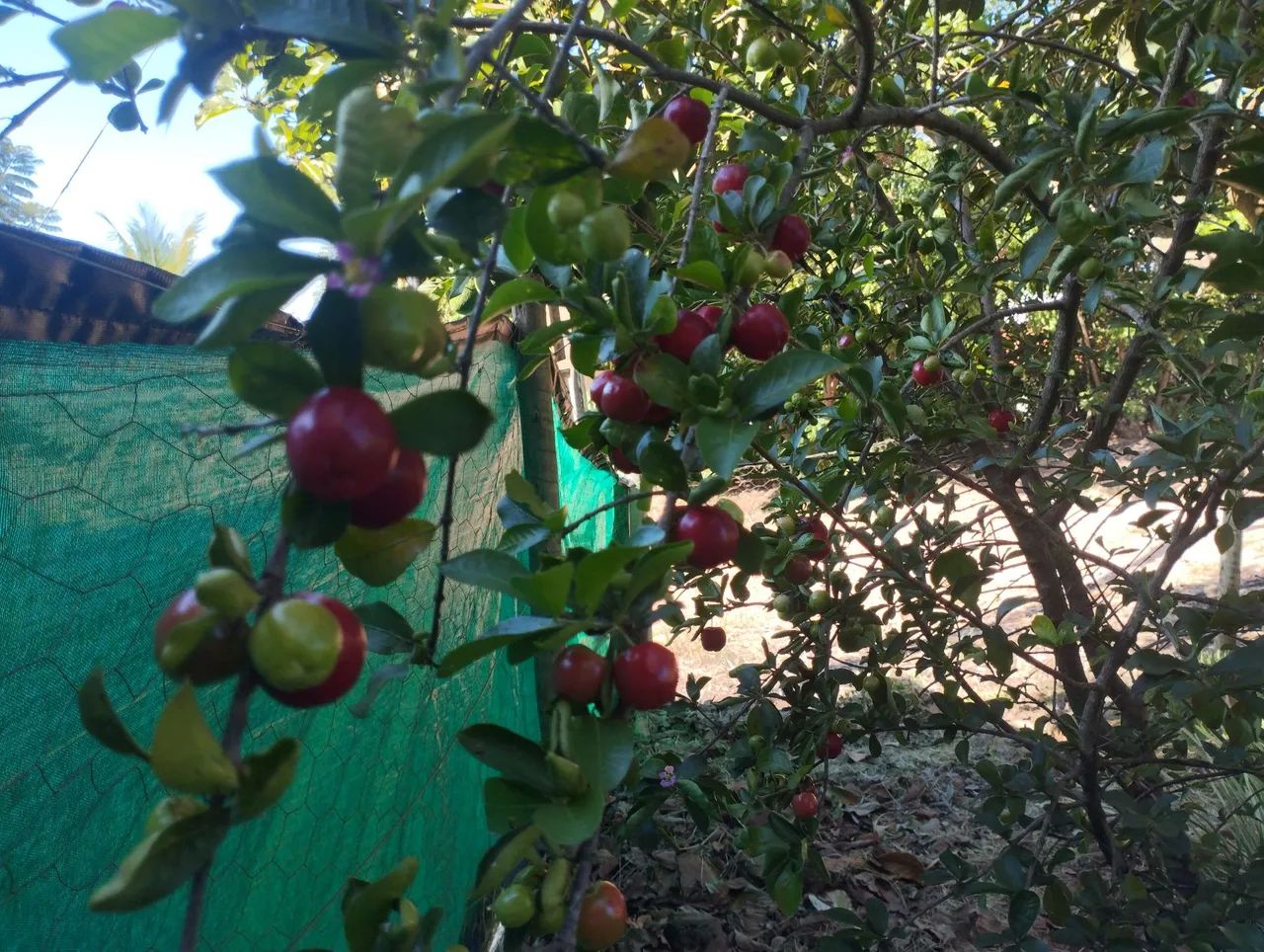 Rancho condomínio eldorado, patrocínio mg  - Foto 5