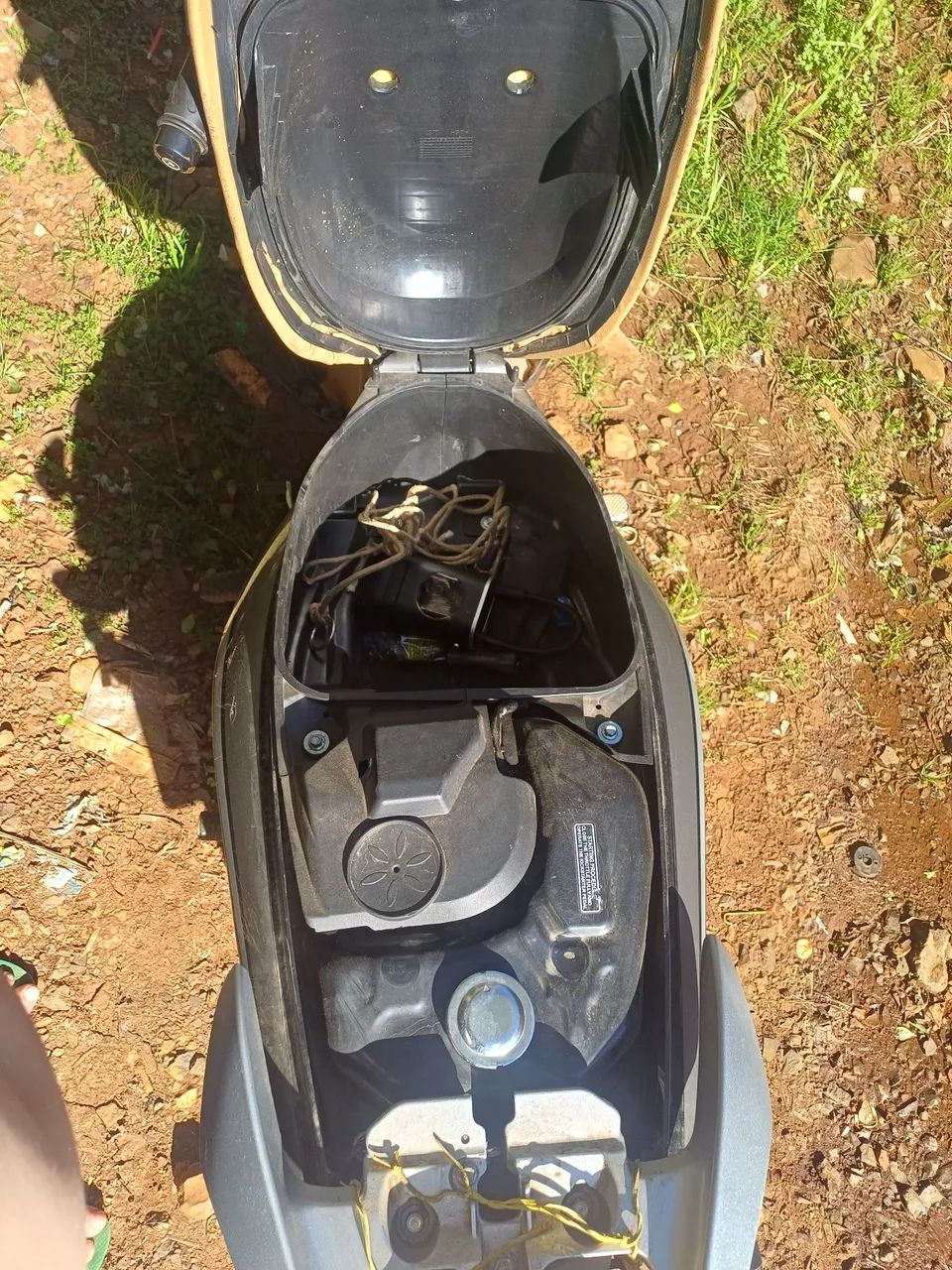 Informações  - Foto 2