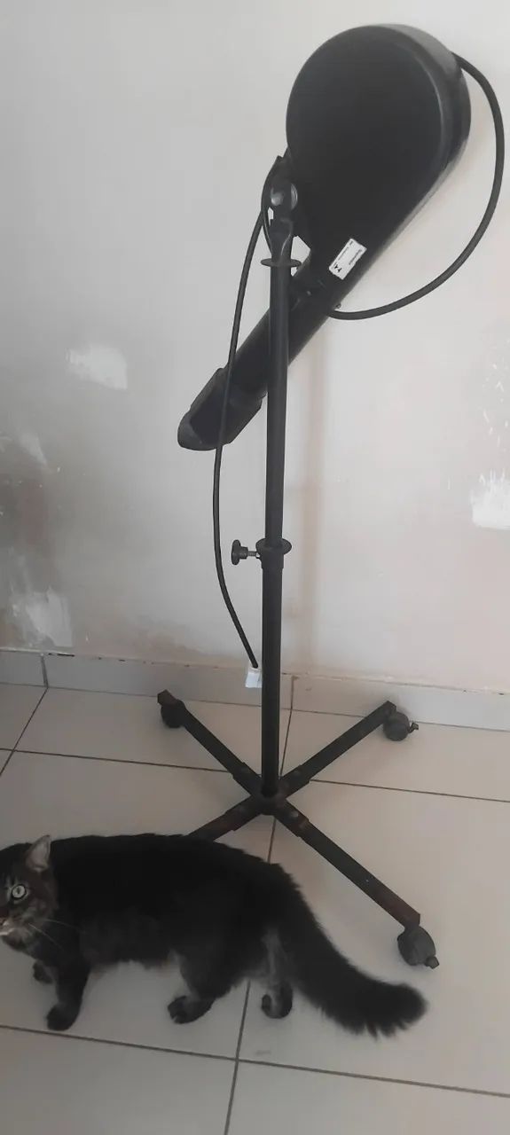Secador Profissional Pet