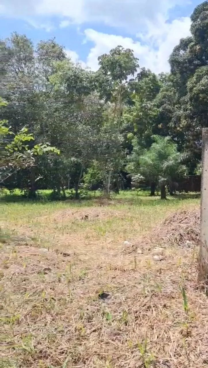 Vendo Terreno 10x30 - Foto 2