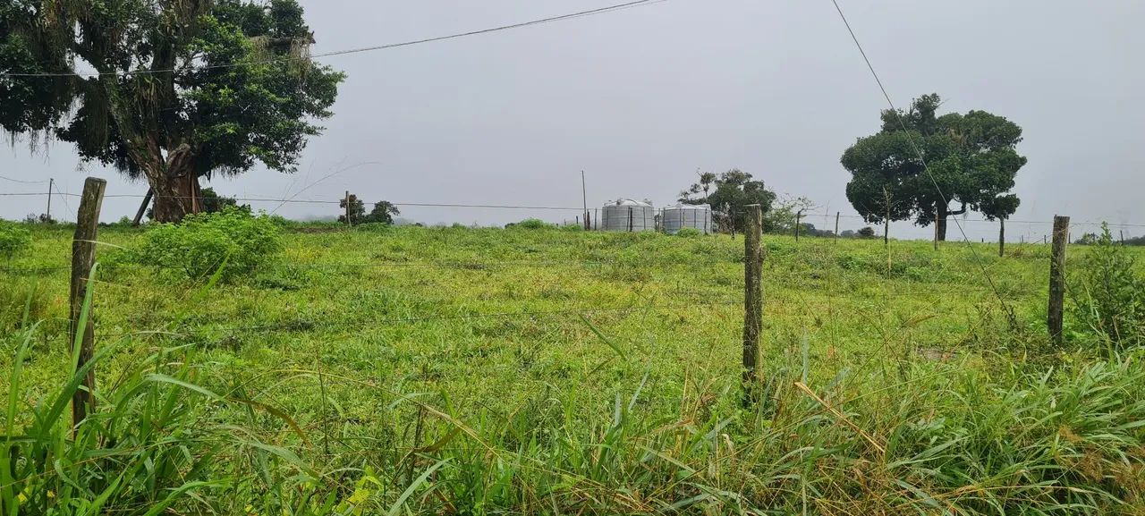 Sitio com. 20 hectares - Foto 2