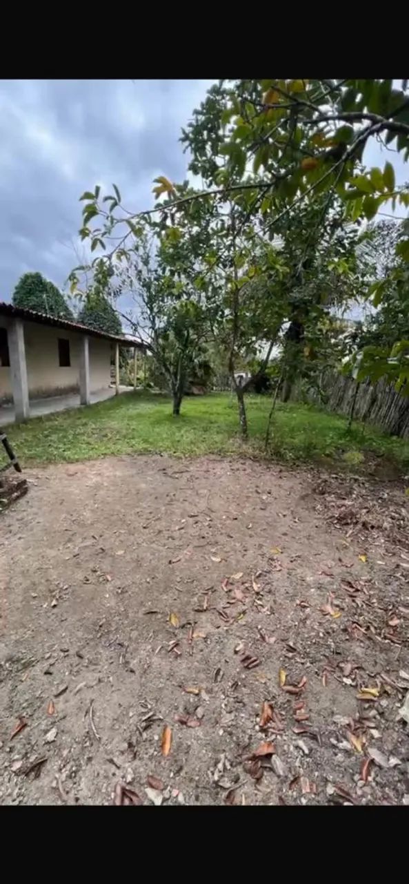 Vende-se sítio em Flexeiras-AL - Foto 3