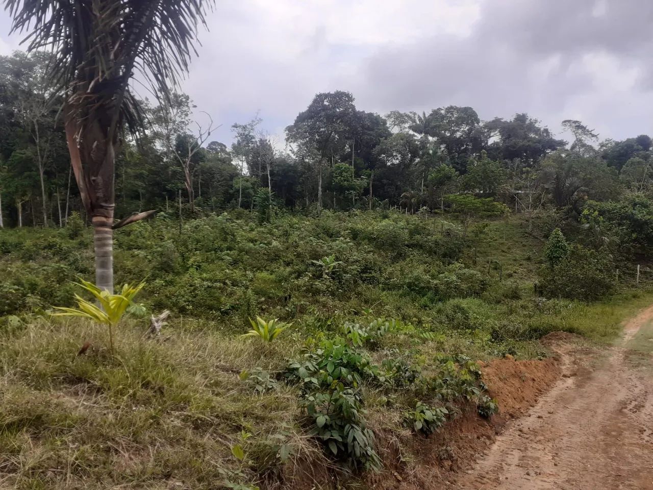 Sitio/chácara Rio P. Da Eva- LEIA ANÚNCIO! - Foto 4