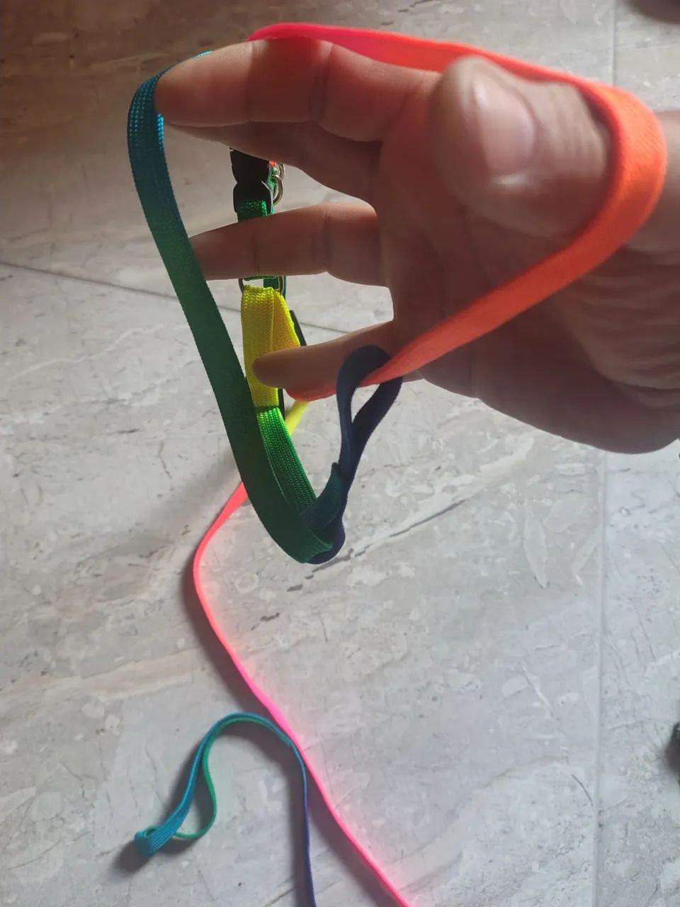 Coleira pet orgulho GLBT  - Foto 3