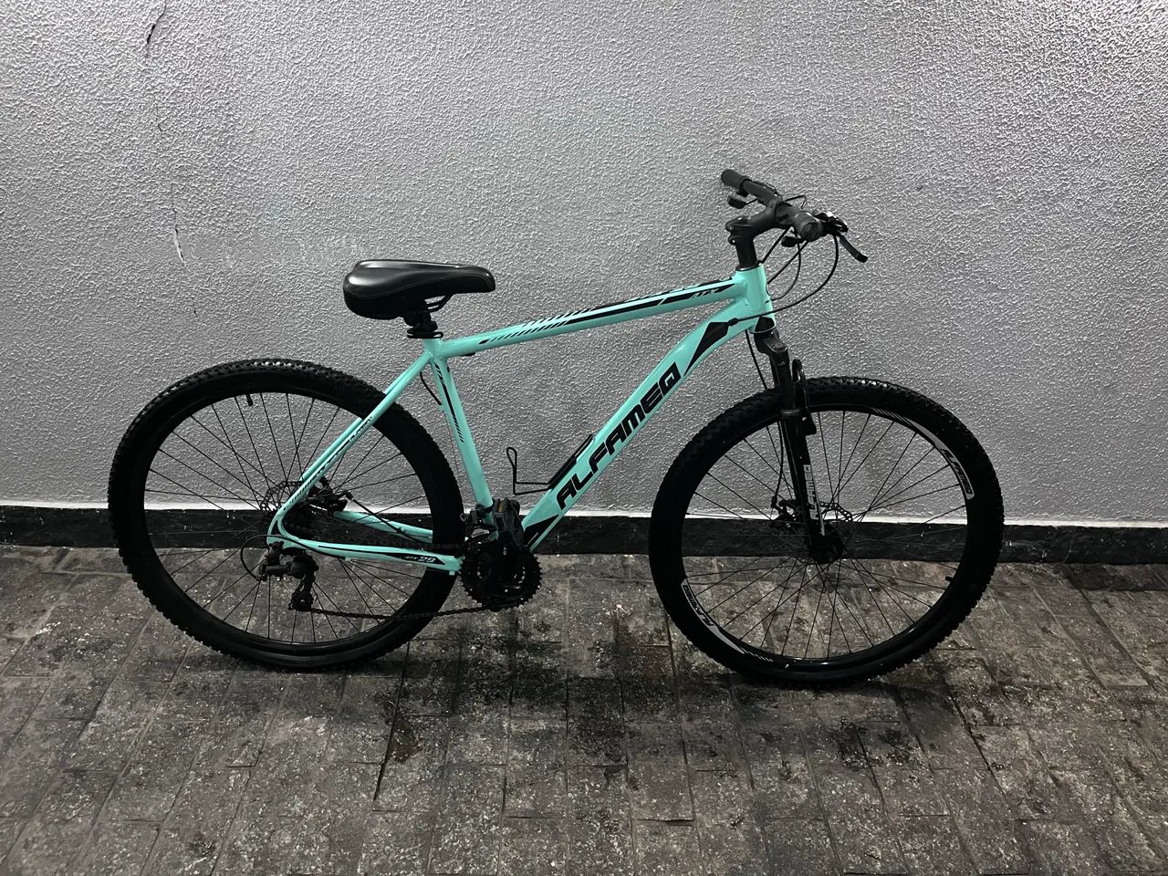 BICICLETA ARO 29 ALFAMEQ