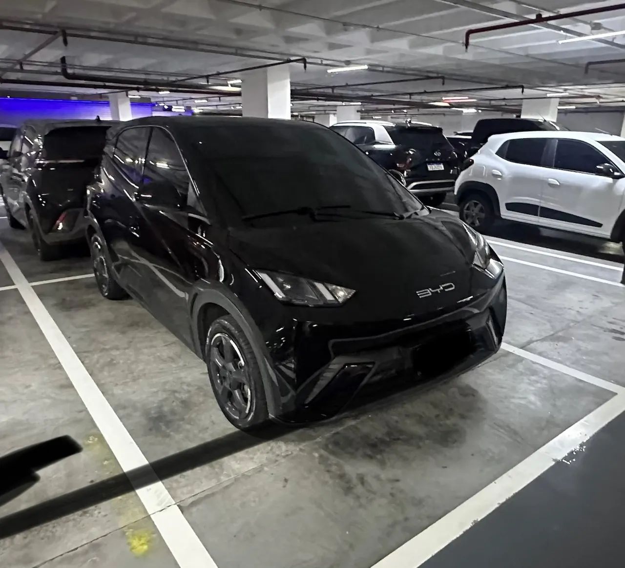 BYD Dolphin Mini (Elétrico) 2025