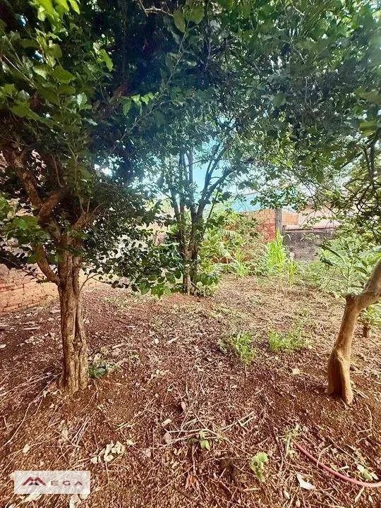 Terreno à venda, Campinas/SP - Foto 2
