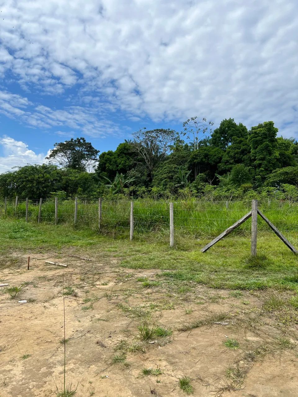 Vende-se lote próximo ao asfalto - Foto 5