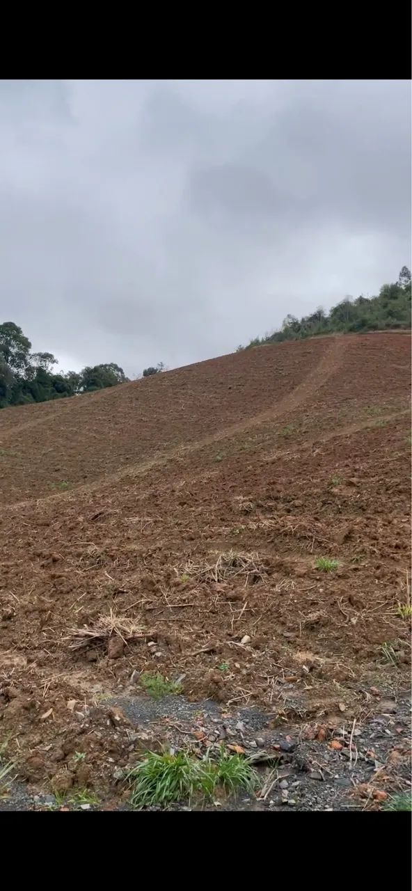 Venda área rural 1 há.  - Foto 3