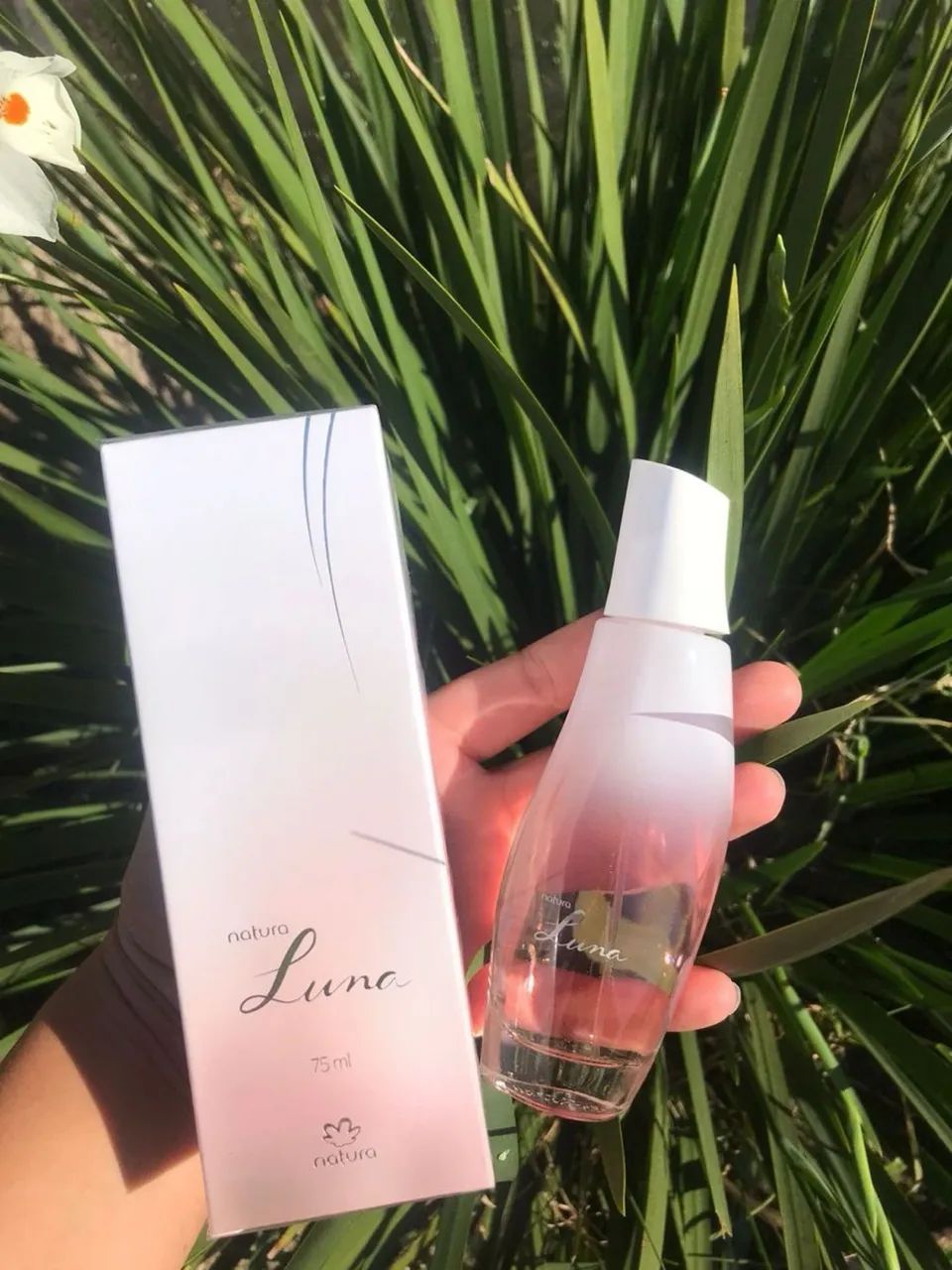 Cosmético Multimarcas  - Foto 5