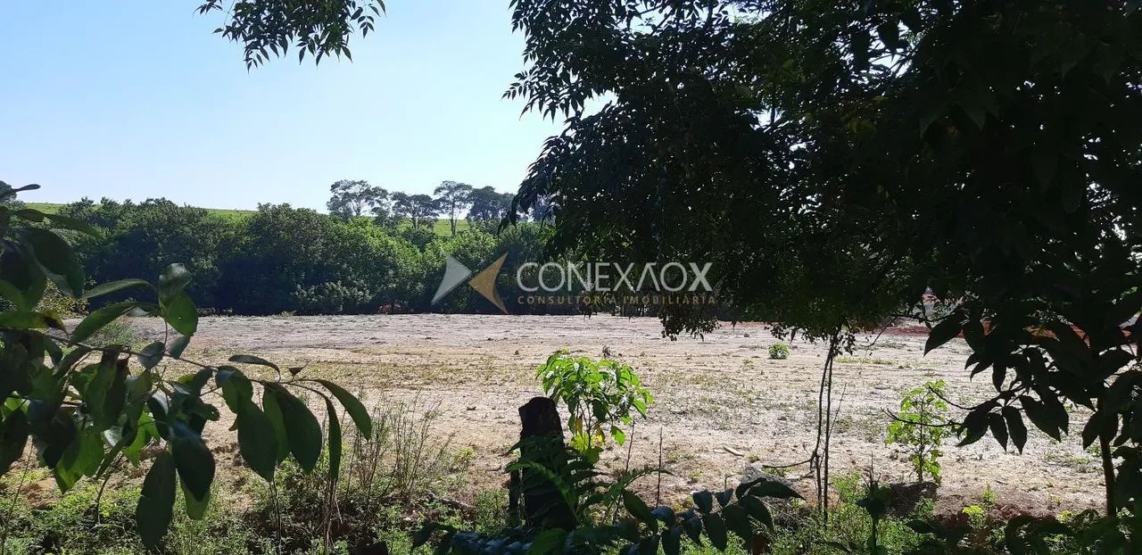 terreno - Chácaras Campos dos Amarais - Campinas - Foto 3