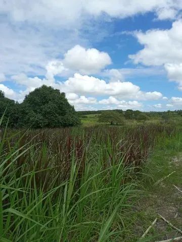 Fazendinha estruturada top De luxo em Monte Alegre - Foto 5