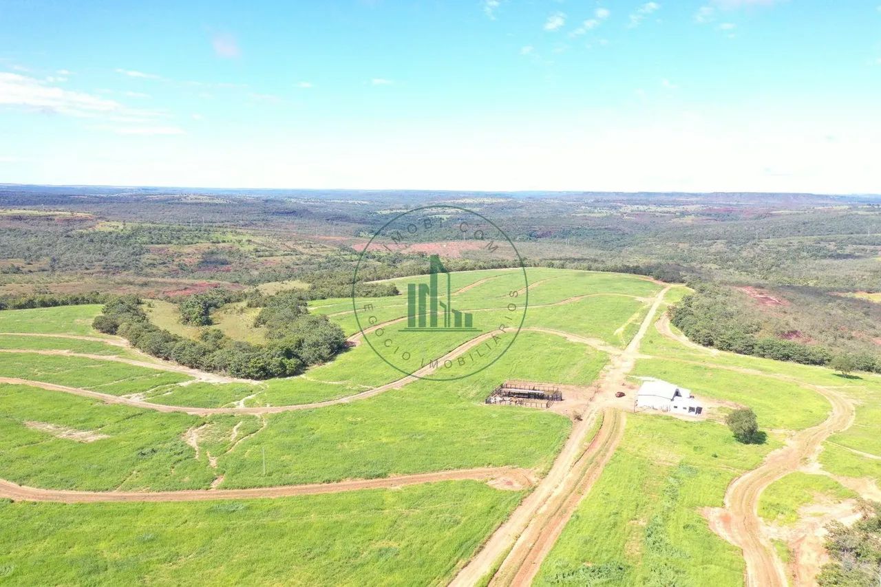 Fazenda Arara Guiratinga MT