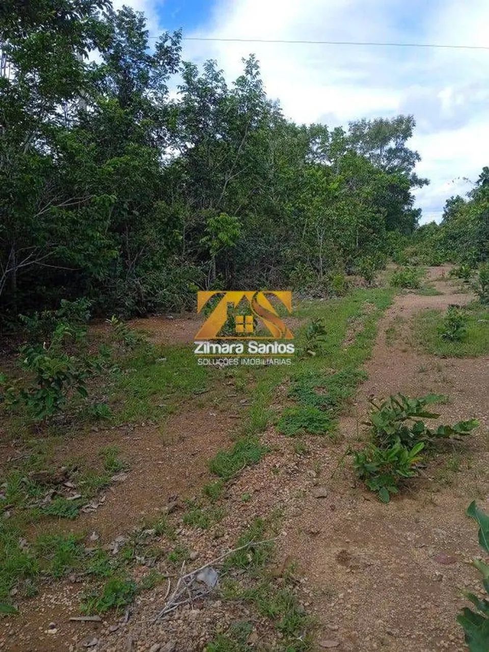 Fazenda com 1 Quarto à Venda, Setor Central - Araguaçu - Foto 5