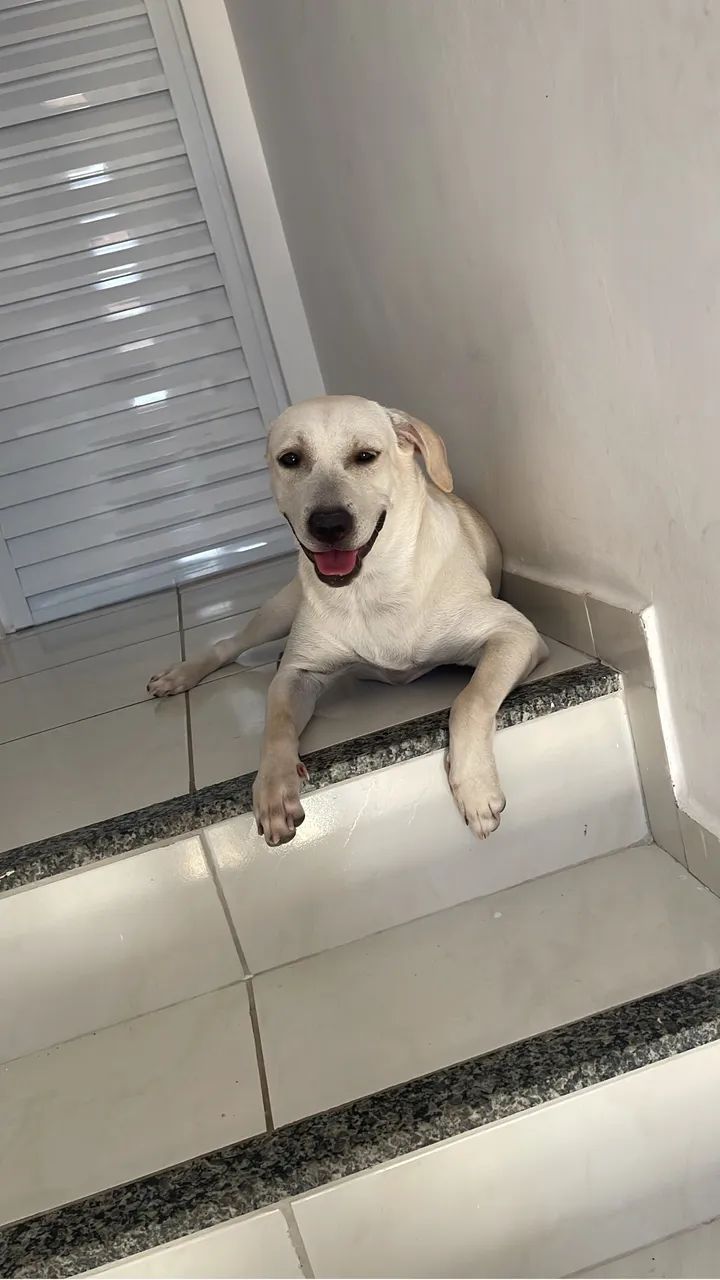 Doação - Foto 2