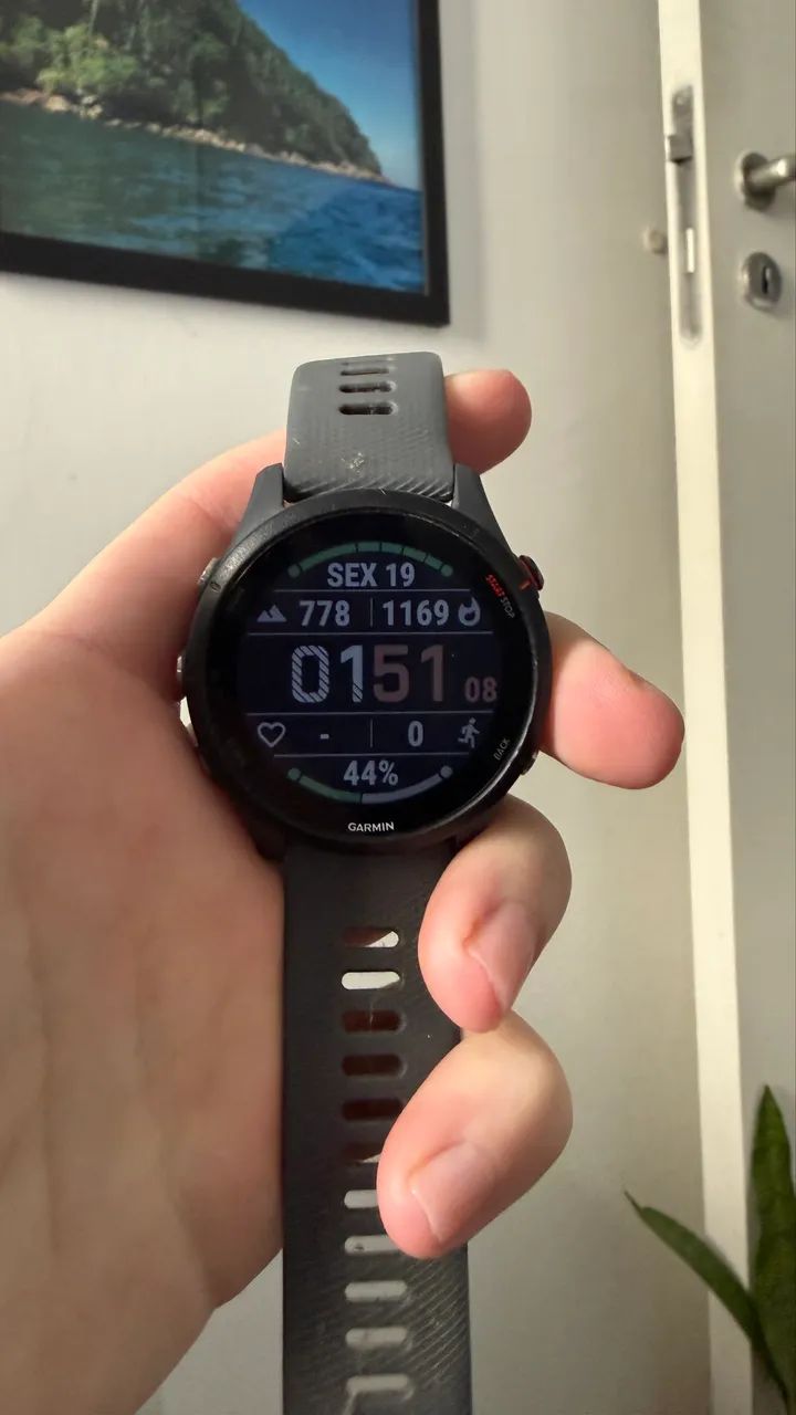 Garmin Forerunner 255 - Foto 2